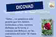 DICOVAD NOVIEMBRE