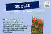 DICOVAD OCTUBRE